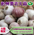 彭州紫衣大蒜