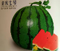 陈荣合作社