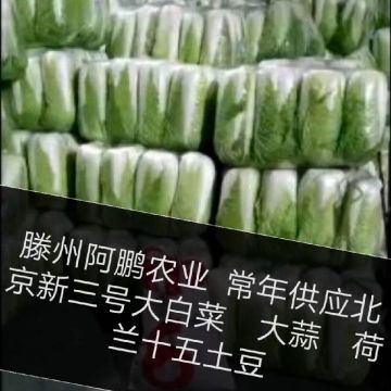 滕州阿鹏农业