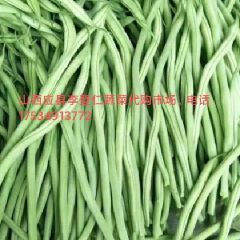 li888999
