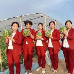 冯彩霞