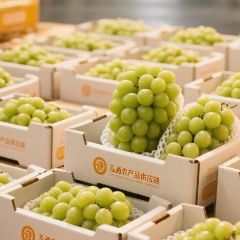 泓通商贸