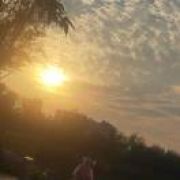 a再回首果蔬代办阿许