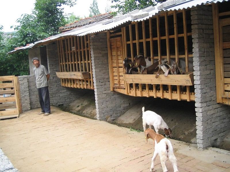 黑山羊栏的建设图片,农村小型羊舍建设图片,羊圈怎么建最合理农村_大山谷图库