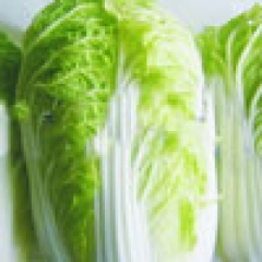 商丘夏邑县郭庄乡青杂三号白菜11月上市