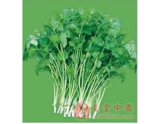 临沂市宋经理小叶香菜2.5元/斤