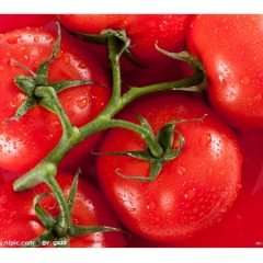 武威市双茨科乡西李大金供应硬粉今天1.5元/斤