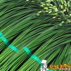 江苏鼓楼韭苔：徐州经任先生