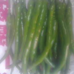 秋延棍棍辣椒色泽鲜亮价格便宜