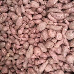 供应4两以上优质徐薯18