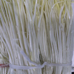 大量批发、零售新鲜韭芽(韭黄)