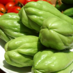 佛手瓜大量上市，单瓜重七两左右