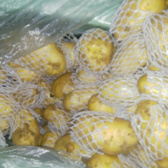 肥城市大量库存土豆质量好价格低