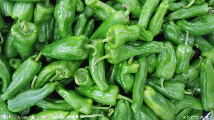 李口镇巨无霸长度10--15厘米，颜色青翠