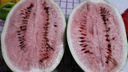 甘肃白银市平川区金城5号