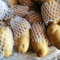 平度土豆早买早赚兰底陈中旭诚信合作