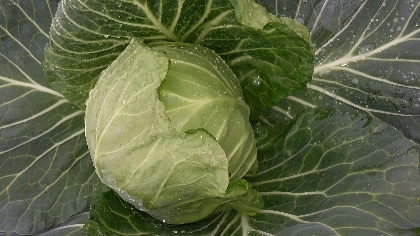 湖北省天门市多宝镇的旺旺上市