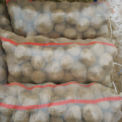 本人主供土豆长年做收购代办