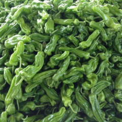 苏椒五号，芜湖椒，301等辣椒品种