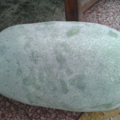 6月底7月初大量粉皮冬瓜上市