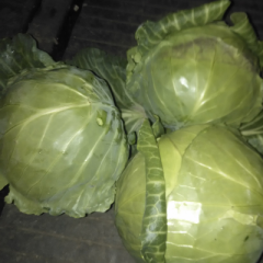 包菜两斤左右，全部散装