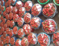 临沂河东王疃草莓市场