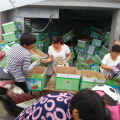 2015夏邑西瓜值得出手