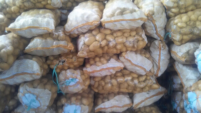 保太镇蔡家庄 荷兰十五 尚青农贸