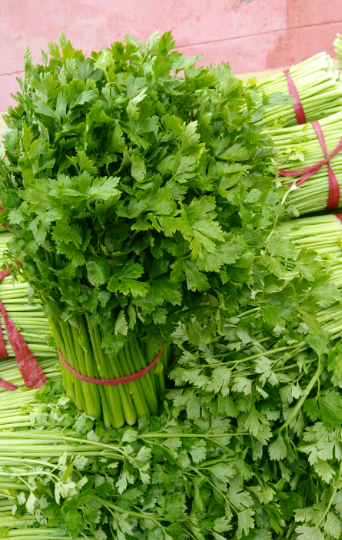 李宁2015年06月24日铜山县芹菜价格 - 绿果网产地报价