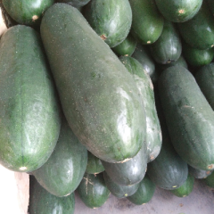 湖南南县铁冠军冬瓜价格适宜