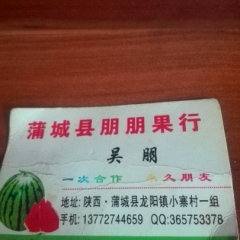  陕西渭南蒲城欢迎你！瓜果之乡！