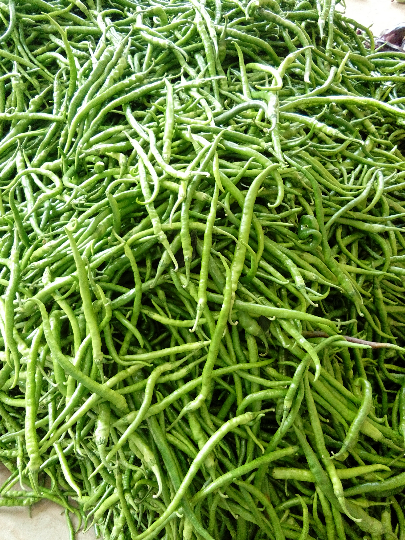 二炮辣椒15:1元/斤