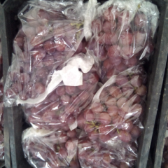 宁夏银川红提葡萄价格适宜_鑫源果品