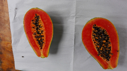 海南红心木瓜肉红，瓜甜，清新可口