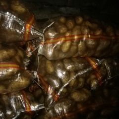 红土地，夏波蒂薯型好，个头没的说