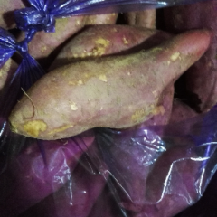 广东红薯网购卖家最佳选择