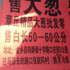章丘精品大葱，白长50-60公分