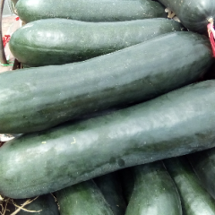 子弹头黑皮冬瓜己有内地客商前来订购