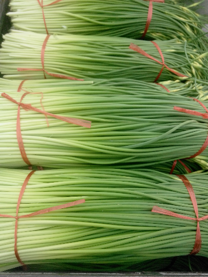 供应本地苔蒜蒜薹口感好面积大