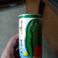 本地大量供应沙土地露天西瓜