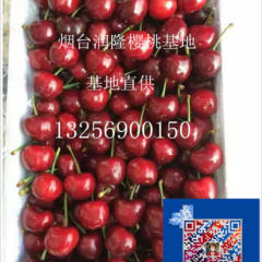 自家百亩果园，品种齐全，各种等级果都有