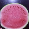 出售8424西瓜