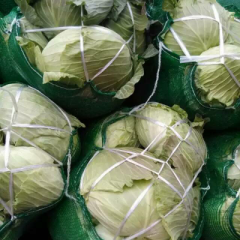 湖北嘉鱼牛心甘蓝己大量上市 欢迎来电订购