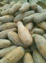 湖北嘉鱼金韩密本南瓜著名品牌