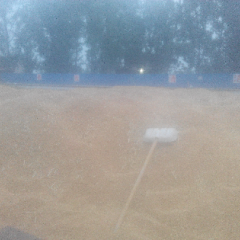 新小麦大量上市，水分可根据客户要求收购