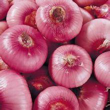 河东库存红皮洋葱大量出库