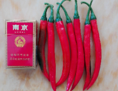 明村辣椒上市了，主要品种有美人椒和泡椒