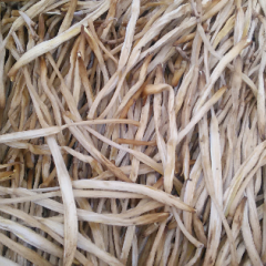 黄花菜质量好！有需要购买的尽快联系。