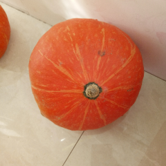 黑皮南瓜_价格便宜，有诚心的喊我