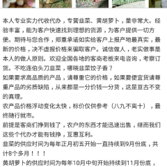 国家地理标志韭菜即将大量上市